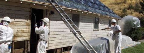 paint inspection nyc|lead based paint violations nyc.